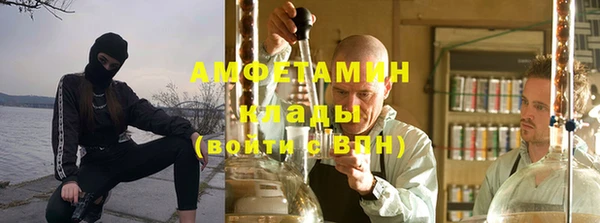 крисы Абаза
