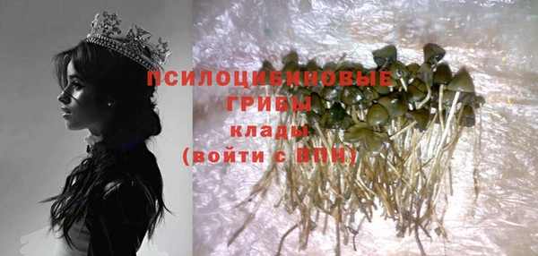 крисы Абаза