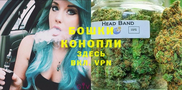 крисы Абаза