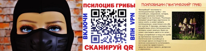 Галлюциногенные грибы Cubensis купить закладку Кинешма